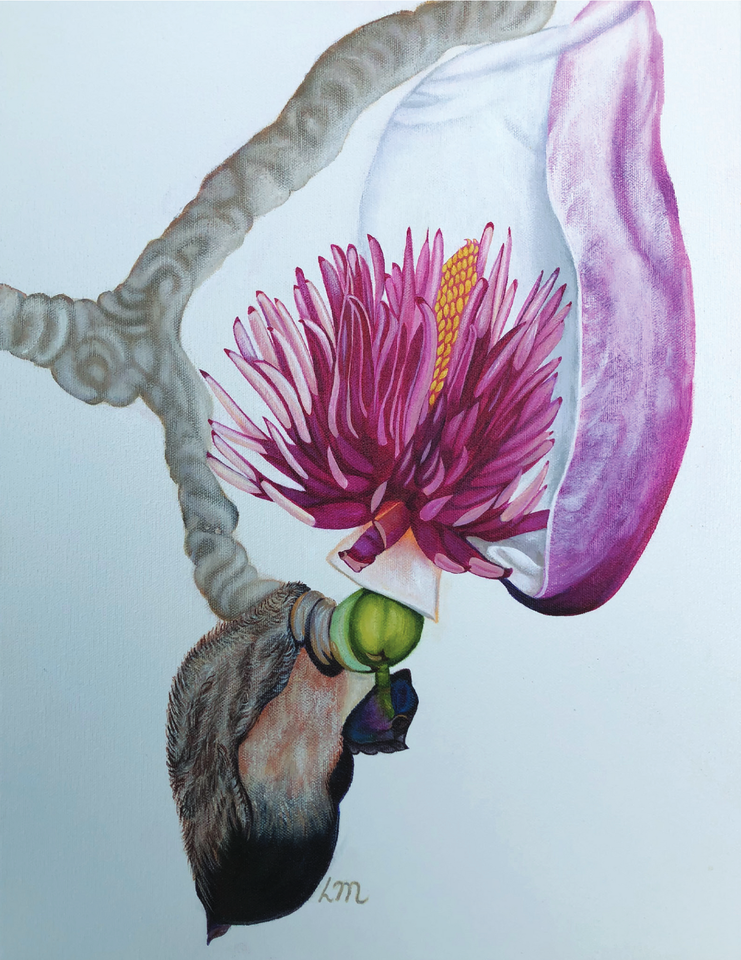 Seed Pod