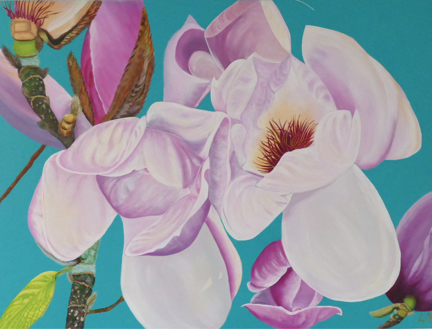Magnolias Teal