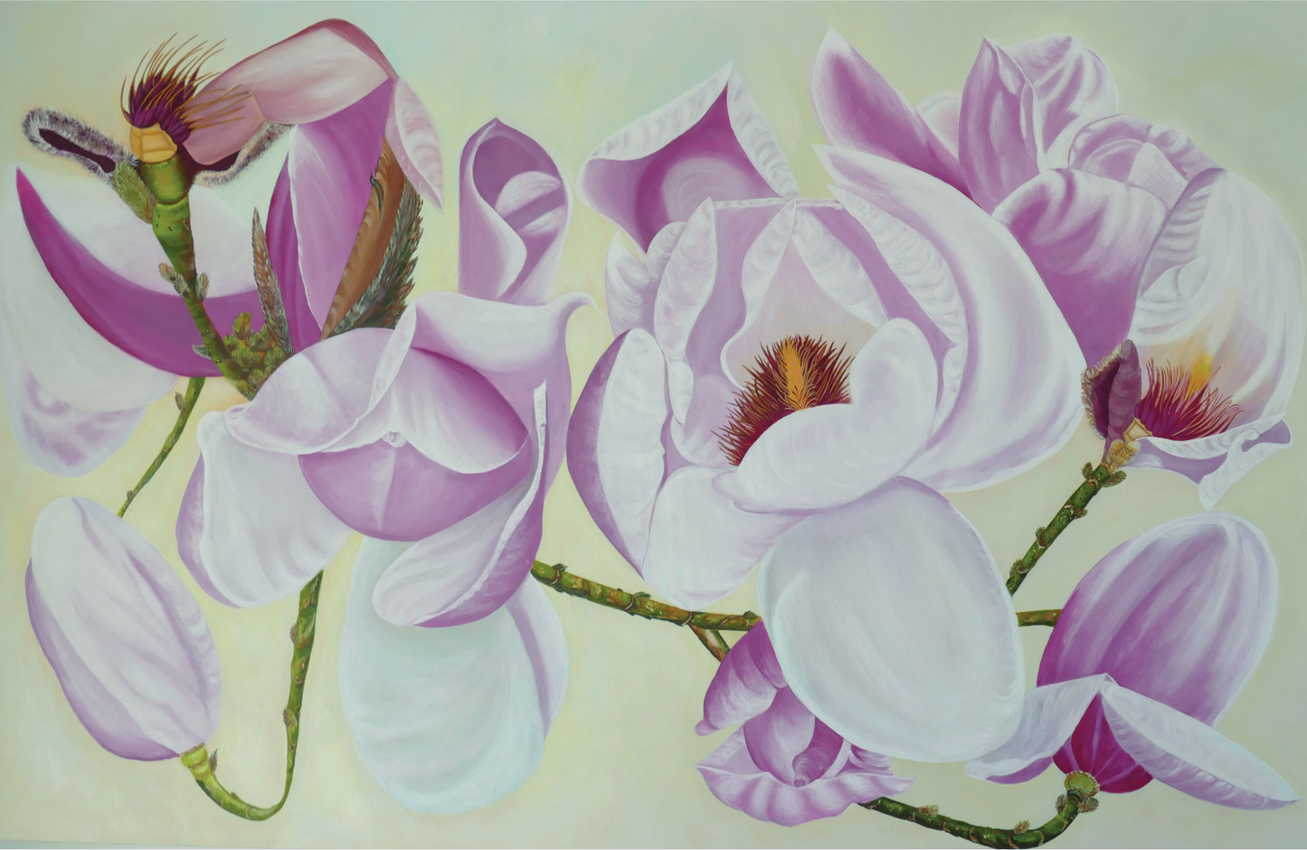 Magnolia Large